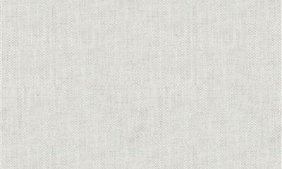亚麻混纺S1165-02