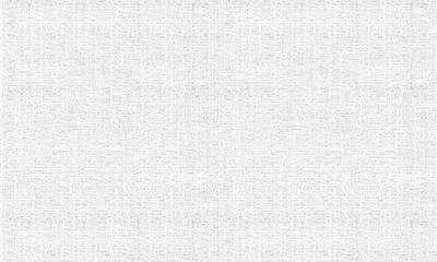 亚麻混纺S1164-01